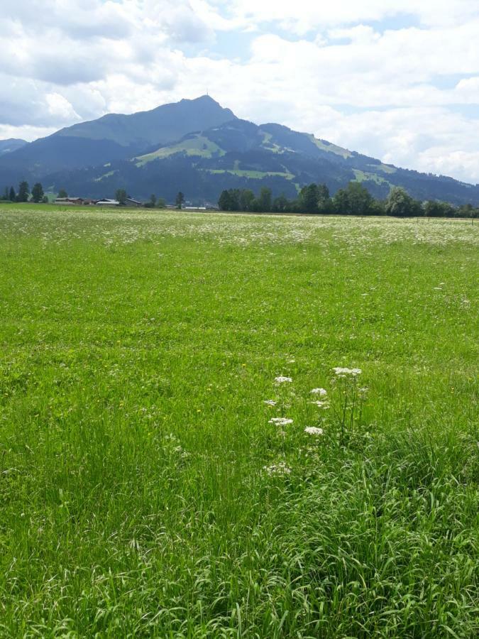 Appartement Muellner Kirchdorf in Tirol Exterior foto
